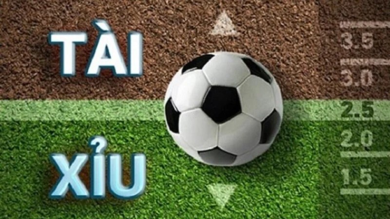Phong độ gần đây của 2 đội