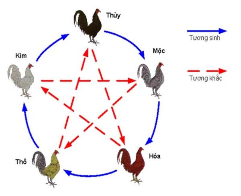 Ảnh 3: Đừng quên chú ý đến ngũ hành khi xem ngày tốt để đi đá gà nhé